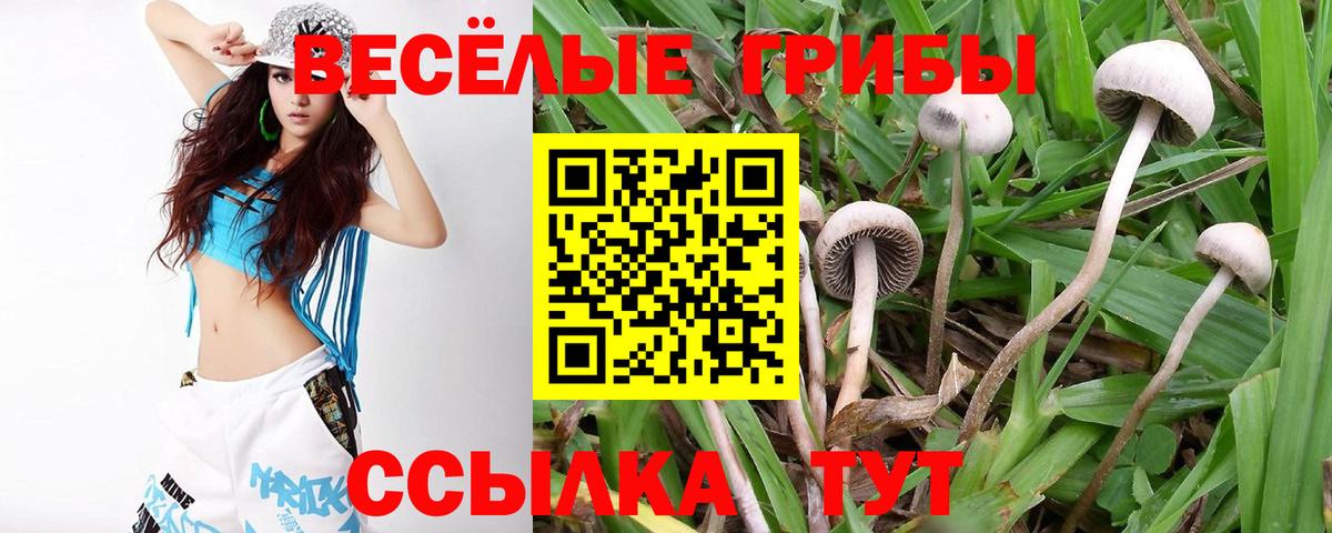 Галлюциногенные грибы мухоморы Конаково