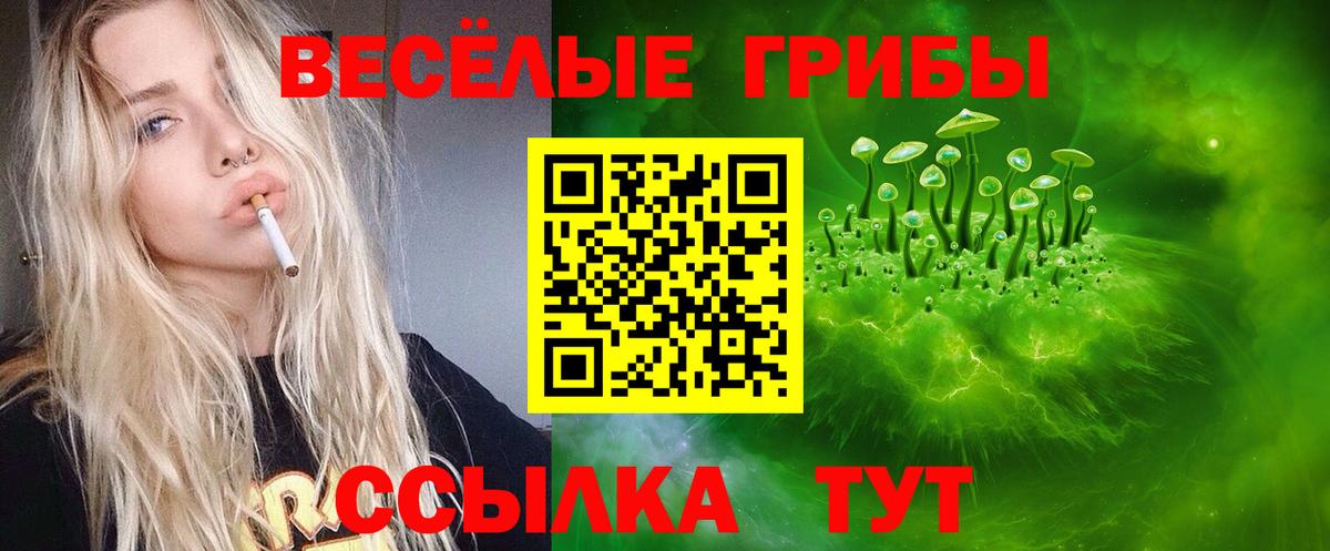 Галлюциногенные грибы Psilocybine cubensis  Псилоцибиновые грибы мухоморы  Вход с VPN  Конаково 