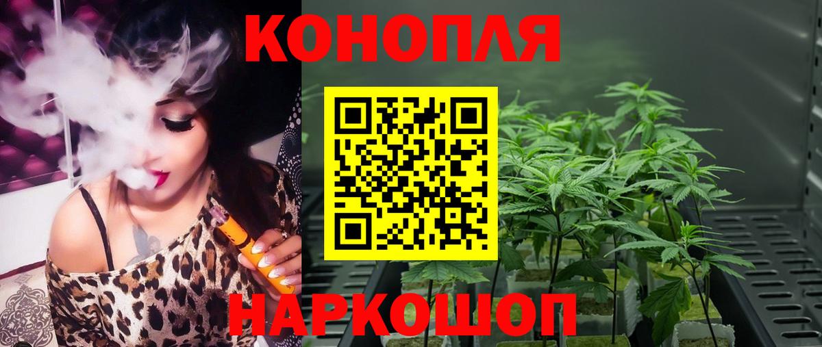 Канабис планчик Конаково